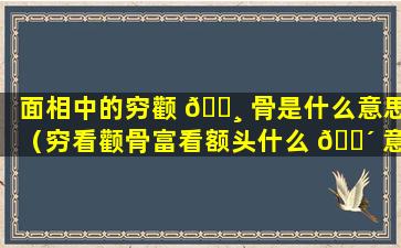 面相中的穷颧 🌸 骨是什么意思（穷看颧骨富看额头什么 🐴 意思）